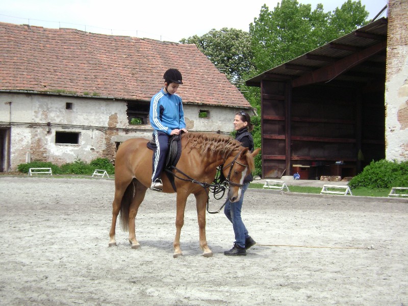 gal/10_11/kir6bg/DSC01483.JPG