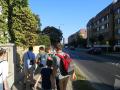 gal/13_14/Kophaza/_thb_K_ph_zi_zar_ndoklat_2013_025.jpg